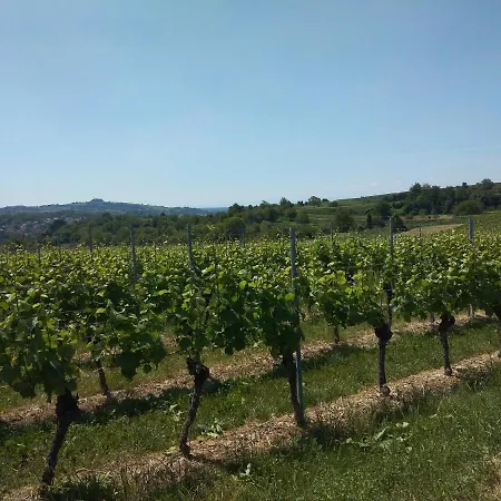 Gerda * Friesenheim (Baden-Wurttemberg)